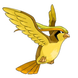 Shiny Pidgeot
