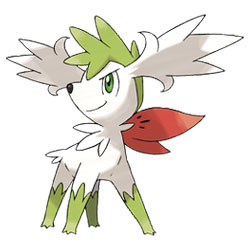 Shaymin Fly