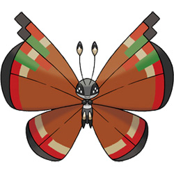 Vivillon - Archipelago