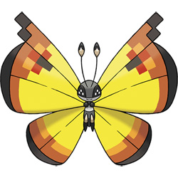 Vivillon - Continental