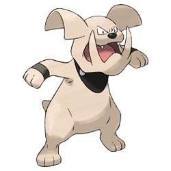  Shiny Granbull 