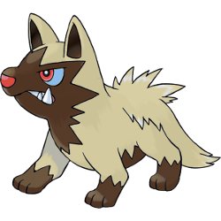  Shiny Poochyena 