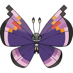 Vivillon - Elegant