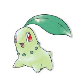 Chikorita