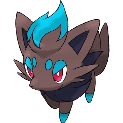 Shiny Zorua 