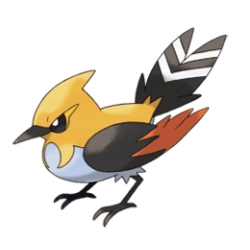 Shiny Fletchinder