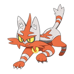 Shiny Torracat