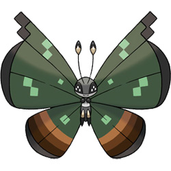 Vivillon - Jungle