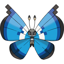 Vivillon - Marine