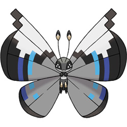 Vivillon - Monsoon