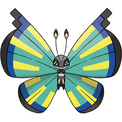 Vivillon - Savanna