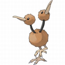 Doduo