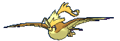 Mega Shiny Pidgeot