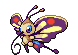 Shiny Beautifly